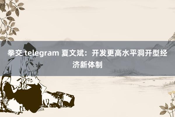 拳交 telegram 夏文斌：开发更高水平洞开型经济新体制