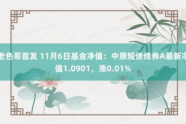 老色哥首发 11月6日基金净值：中原短债债券A最新净值1.0901，涨0.01%