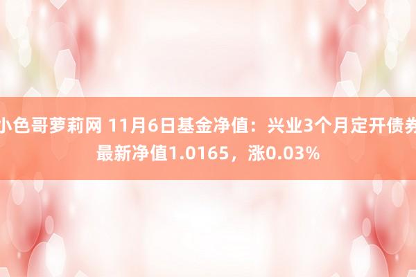 小色哥萝莉网 11月6日基金净值：兴业3个月定开债券最新净值1.0165，涨0.03%