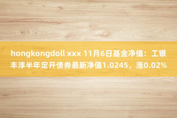 hongkongdoll xxx 11月6日基金净值：工银丰淳半年定开债券最新净值1.0245，涨0.02%