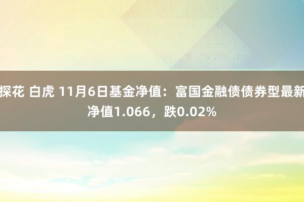 探花 白虎 11月6日基金净值：富国金融债债券型最新净值1.066，跌0.02%