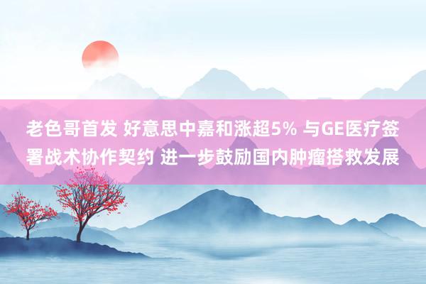 老色哥首发 好意思中嘉和涨超5% 与GE医疗签署战术协作契约 进一步鼓励国内肿瘤搭救发展