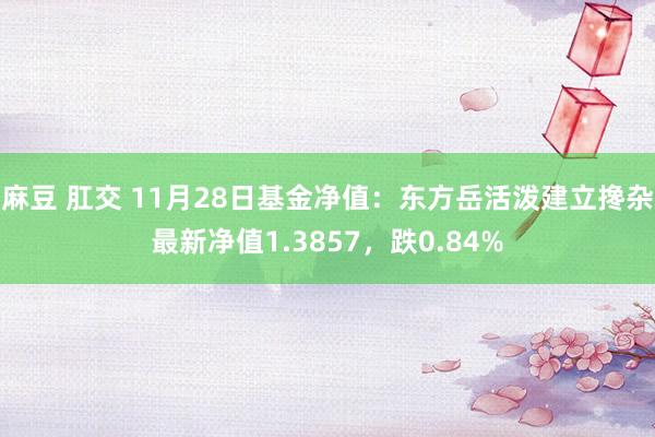 麻豆 肛交 11月28日基金净值：东方岳活泼建立搀杂最新净值1.3857，跌0.84%