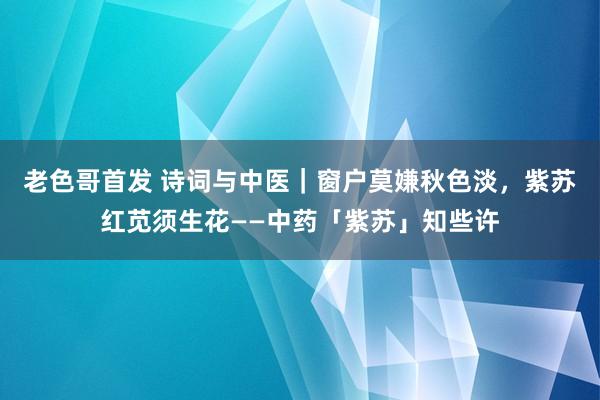 老色哥首发 诗词与中医｜窗户莫嫌秋色淡，紫苏红苋须生花——中药「紫苏」知些许