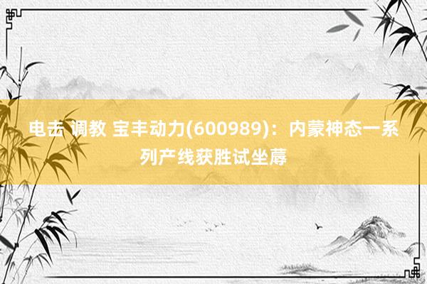 电击 调教 宝丰动力(600989)：内蒙神态一系列产线获胜试坐蓐