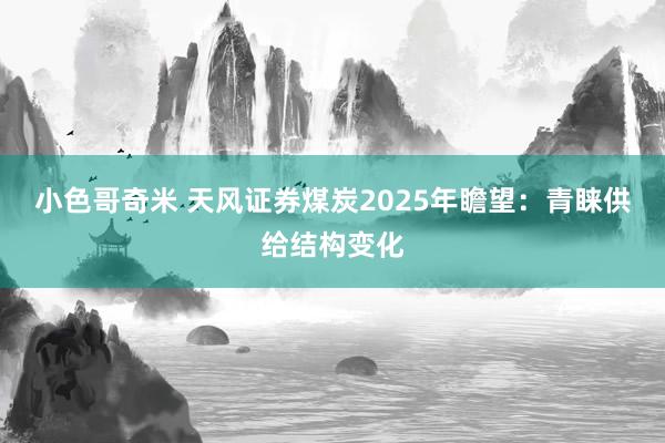 小色哥奇米 天风证券煤炭2025年瞻望：青睐供给结构变化