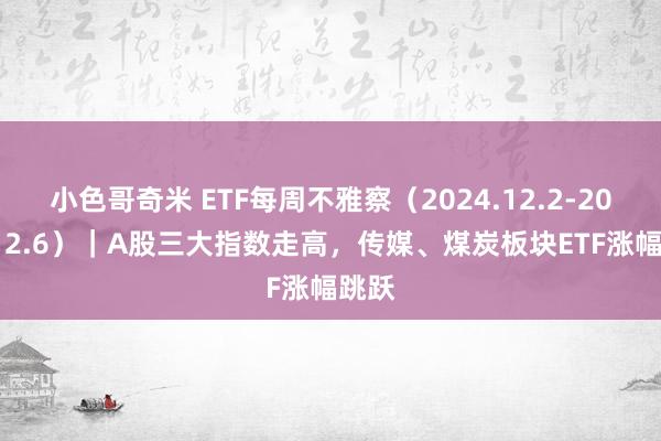 小色哥奇米 ETF每周不雅察（2024.12.2-2024.12.6）｜A股三大指数走高，传媒、煤炭板块ETF涨幅跳跃