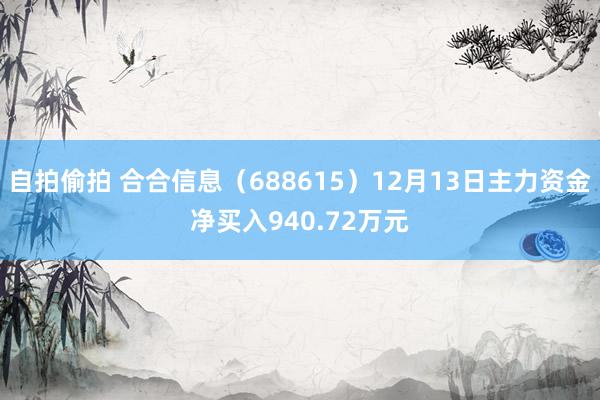 自拍偷拍 合合信息（688615）12月13日主力资金净买入940.72万元