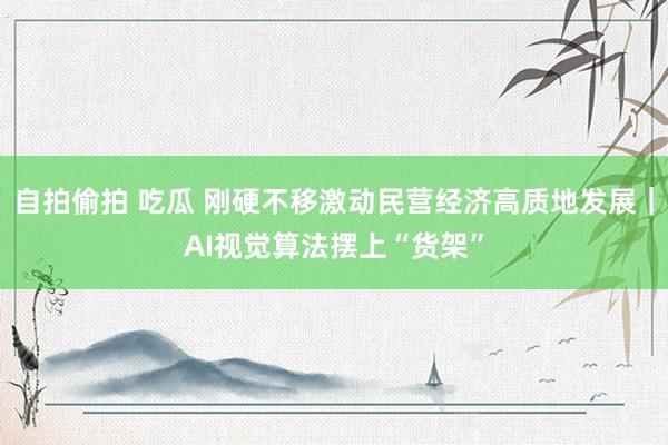 自拍偷拍 吃瓜 刚硬不移激动民营经济高质地发展｜AI视觉算法摆上“货架”