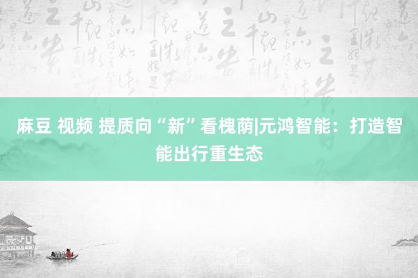 麻豆 视频 提质向“新”看槐荫|元鸿智能：打造智能出行重生态