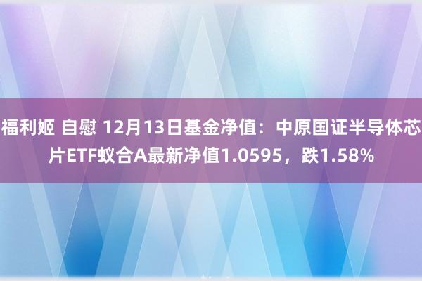 福利姬 自慰 12月13日基金净值：中原国证半导体芯片ETF蚁合A最新净值1.0595，跌1.58%