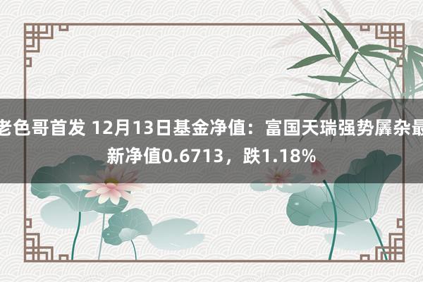 老色哥首发 12月13日基金净值：富国天瑞强势羼杂最新净值0.6713，跌1.18%