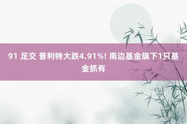 91 足交 普利特大跌4.91%! 南边基金旗下1只基金抓有