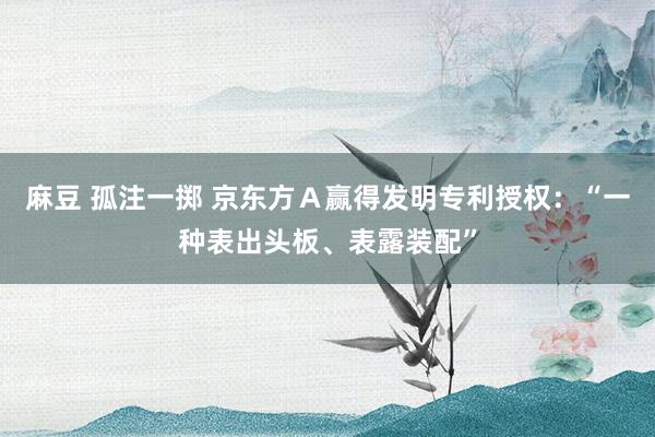 麻豆 孤注一掷 京东方Ａ赢得发明专利授权：“一种表出头板、表露装配”