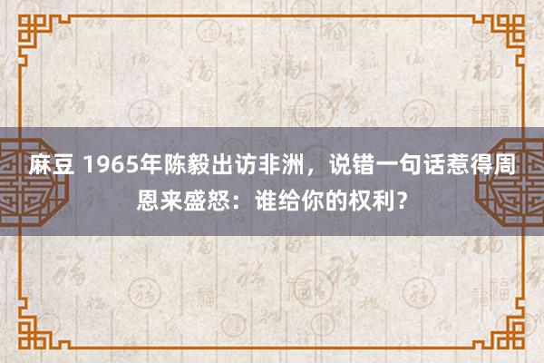 麻豆 1965年陈毅出访非洲，说错一句话惹得周恩来盛怒：谁给你的权利？