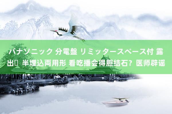 パナソニック 分電盤 リミッタースペース付 露出・半埋込両用形 看吃播会得胆结石？医师辟谣