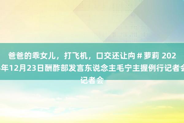 爸爸的乖女儿，打飞机，口交还让禸＃萝莉 2024年12月23日酬酢部发言东说念主毛宁主握例行记者会