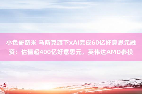 小色哥奇米 马斯克旗下xAI完成60亿好意思元融资：估值超400亿好意思元，英伟达AMD参投