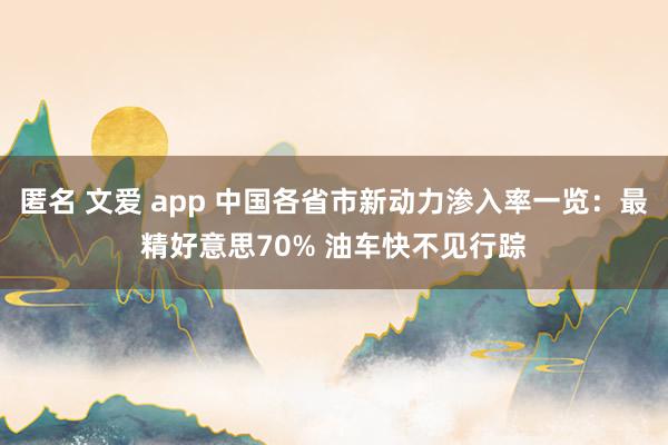 匿名 文爱 app 中国各省市新动力渗入率一览：最精好意思70% 油车快不见行踪