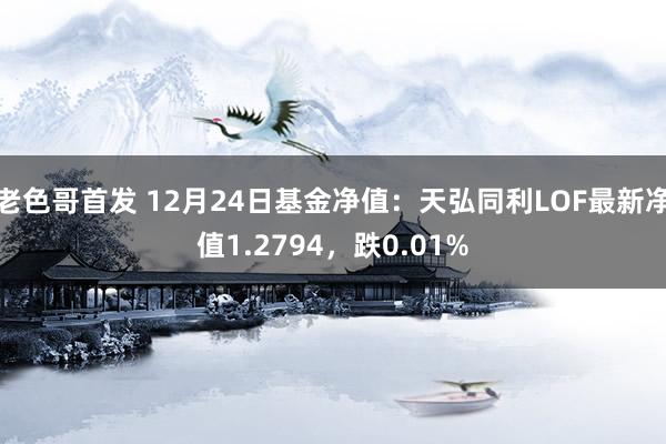 老色哥首发 12月24日基金净值：天弘同利LOF最新净值1.2794，跌0.01%