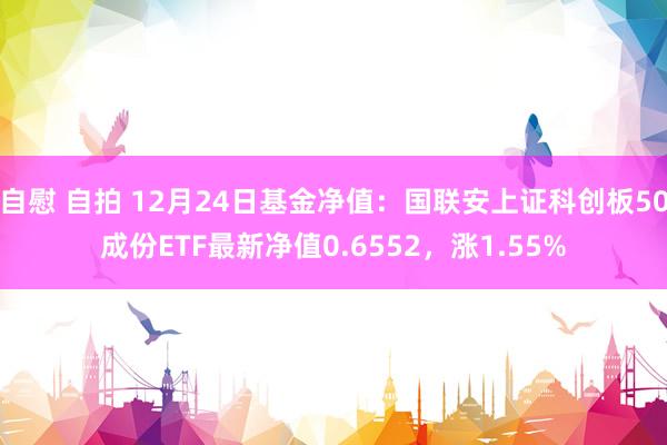 自慰 自拍 12月24日基金净值：国联安上证科创板50成份ETF最新净值0.6552，涨1.55%