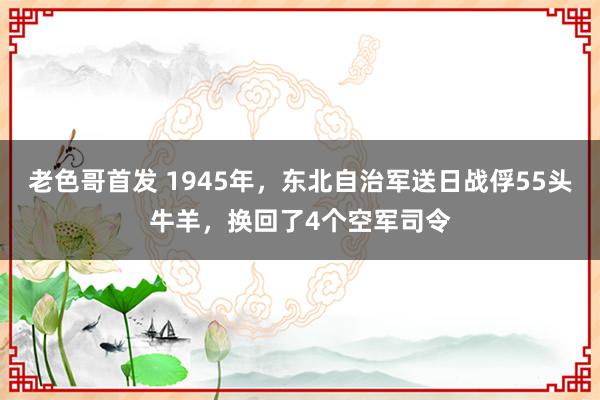 老色哥首发 1945年，东北自治军送日战俘55头牛羊，换回了4个空军司令