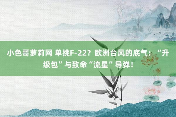 小色哥萝莉网 单挑F-22？欧洲台风的底气：“升级包”与致命“流星”导弹！