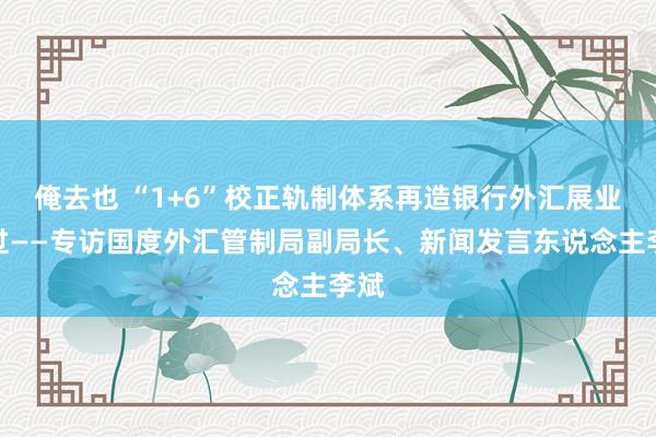 俺去也 “1+6”校正轨制体系再造银行外汇展业经过——专访国度外汇管制局副局长、新闻发言东说念主李斌