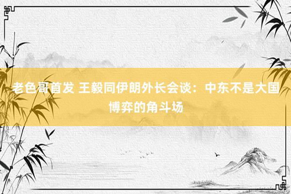 老色哥首发 王毅同伊朗外长会谈：中东不是大国博弈的角斗场