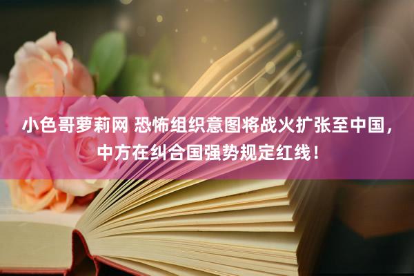 小色哥萝莉网 恐怖组织意图将战火扩张至中国，中方在纠合国强势规定红线！