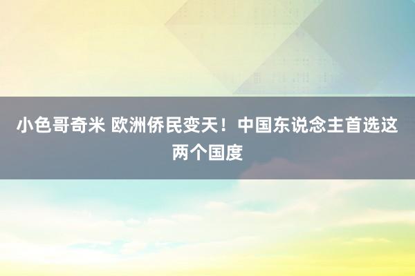 小色哥奇米 欧洲侨民变天！中国东说念主首选这两个国度