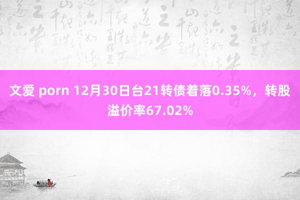 文爱 porn 12月30日台21转债着落0.35%，转股溢价率67.02%