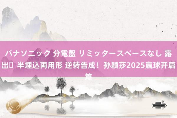 パナソニック 分電盤 リミッタースペースなし 露出・半埋込両用形 逆转告成！孙颖莎2025赢球开篇