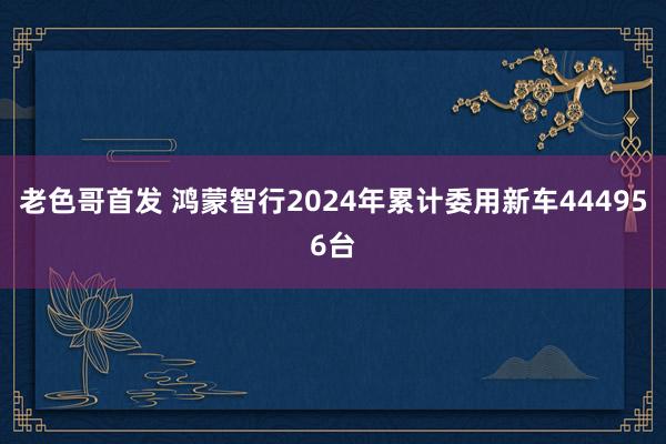 老色哥首发 鸿蒙智行2024年累计委用新车444956台