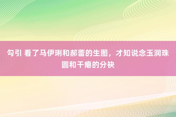 勾引 看了马伊琍和郝蕾的生图，才知说念玉润珠圆和干瘪的分袂