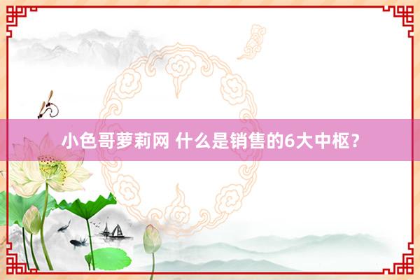 小色哥萝莉网 什么是销售的6大中枢？