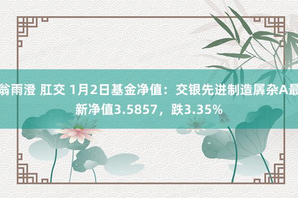 翁雨澄 肛交 1月2日基金净值：交银先进制造羼杂A最新净值3.5857，跌3.35%