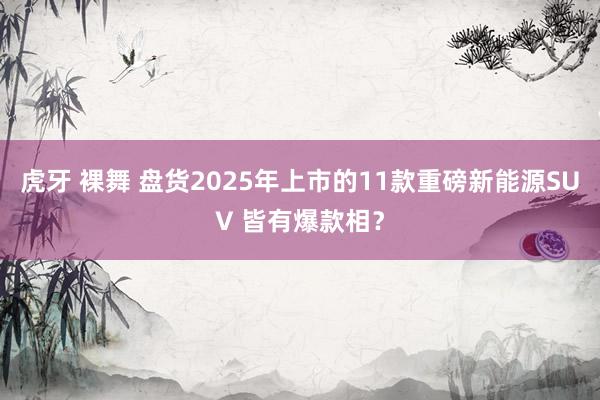 虎牙 裸舞 盘货2025年上市的11款重磅新能源SUV 皆有爆款相？