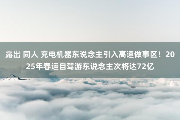 露出 同人 充电机器东说念主引入高速做事区！2025年春运自驾游东说念主次将达72亿