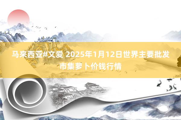 马来西亚#文爱 2025年1月12日世界主要批发市集萝卜价钱行情