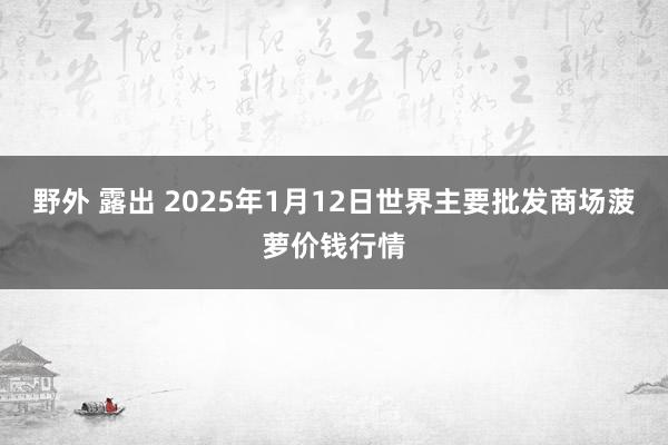 野外 露出 2025年1月12日世界主要批发商场菠萝价钱行情