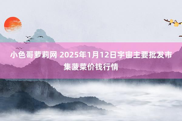 小色哥萝莉网 2025年1月12日宇宙主要批发市集菠菜价钱行情