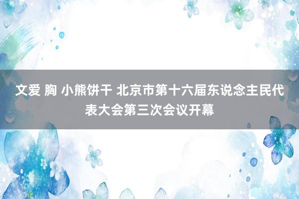 文爱 胸 小熊饼干 北京市第十六届东说念主民代表大会第三次会议开幕