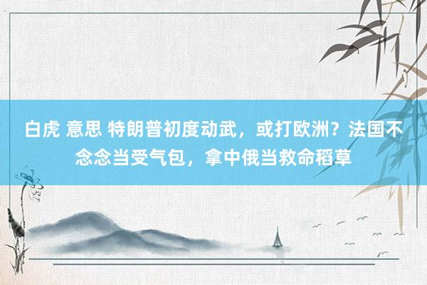 白虎 意思 特朗普初度动武，或打欧洲？法国不念念当受气包，拿中俄当救命稻草