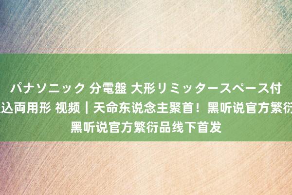 パナソニック 分電盤 大形リミッタースペース付 露出・半埋込両用形 视频｜天命东说念主聚首！黑听说官方繁衍品线下首发