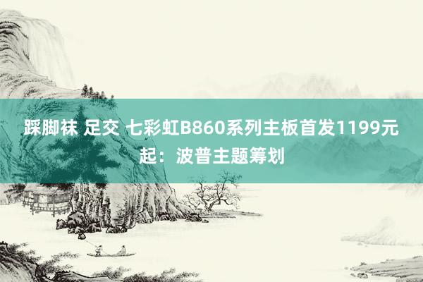 踩脚袜 足交 七彩虹B860系列主板首发1199元起：波普主题筹划