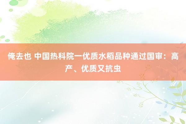 俺去也 中国热科院一优质水稻品种通过国审：高产、优质又抗虫